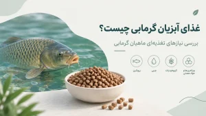 غذای آبزیان گرمابی چیست؟ بررسی نیازهای تغذیه‌ای ماهیان گرمابی