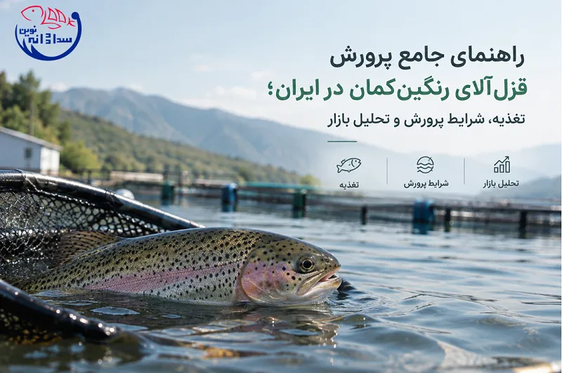 راهنمای جامع پرورش قزل آلای رنگین کمان در ایران؛ تغذیه، شرایط پرورش و تحلیل بازار